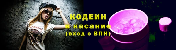 2c-b Инта