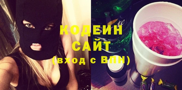 2c-b Инта