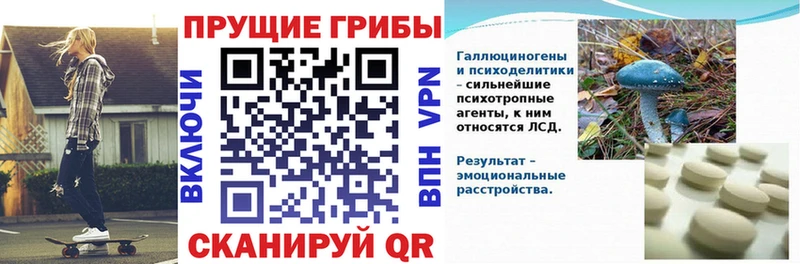 Псилоцибиновые грибы Magic Shrooms Купить где Фёдоровский
